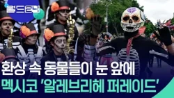 환상 속 동물의 행진…멕시코 알레브리헤 퍼레이드 [월드24/오늘 한 컷] / KBS 2026.10.20.