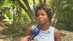 Lectura Diabetes Tipo 2