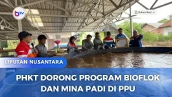PHKT DORONG PROGRAM BIOFLOK DAN MINA PADI DI PPU