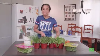 Mix-moi ça: Poulet aux Fines Herbes | Biscuits Maison & Légumes Rôtis