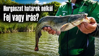 Horgászat határok nélkül – Fej vagy írás? A módszerek csatája a Desedán