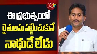 YS Jagan Fires On CM Chandrababu | TDP VS YCP | NTV Telugu