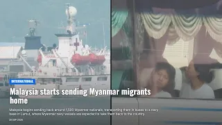 Malaysia starts sending Myanmar migrants home