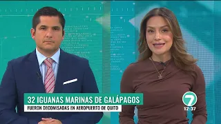 NOTICIAS 7 - Main News Broadcast September 3, 2026 - Ecuador News