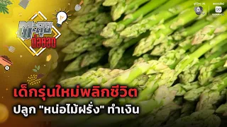New Generation Transforms Their Life Growing "Asparagus" for Profit | Taluay Tor Yod