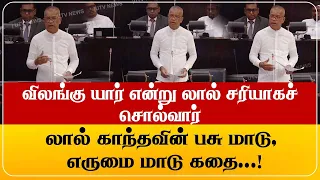 லால் காந்தவின் பசு மாடு, எருமை மாடு கதை...! விலங்கு யார் என்று லால் சரியாகச் சொல்வார்...!