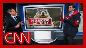 The Odds: Will the groundhogs get it right?