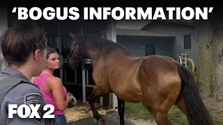 Metro Detroit business owner filed motion to get horses back