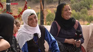Çi Dipêjin Çi Dibêjin - Beşa 68. (Mardin - Ömerli)