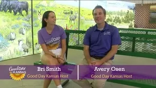 KS State Fair- Education Building