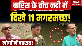 Crocodile in River: गुजरात की नदी में एक साथ दिखे 11 मगरमच्छ! Video Viral | VIDEO देख दंग रह जाएंगे