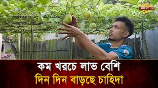 ৯ লাখ টাকার ক্ষ'তি থেকে ৮০০ টাকার শুরু! সোহেলের ঘুরে দাঁড়ানোর গল্প  অবাক করবে আপনাকেও!| Bangla TV