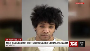 Man accused of torturing cats for online scam