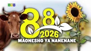 NANENANE IFAHAMU KASI APARTMENTS...AGOSTI 10, 2026