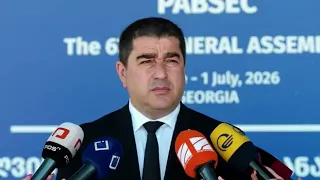 გერმანიის ელჩი ფრანგულად წავიდა, ამ ადამიანმა 30-წლიანი პარტნიორობა დაანგრია - პაპუაშვილი ფიშერზე