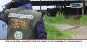 SRV CAPACCIO PAESTUM