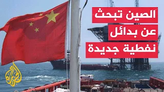 Economic Analysis | Strait of Hormuz Crisis Pushes China to Diversify Oil Supplies