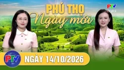 Phu Tho New Day 10/14/2026 | Tightening Management of Livestream Medicine Sales
