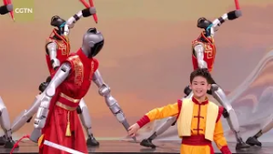 Martial arts robots dazzle at 2026 Spring Festival Gala