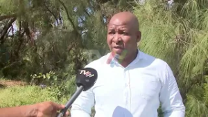 Exploração florestal : Inhambane encaixa 14 milhões de meticais de impostos