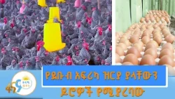 ለአዋጭነቱ እኔ ምስክር ነኝ