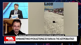 Εμφανίστηκε μυοκάστορας σε παραλία της Ασπροβάλτας!