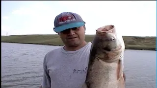 Aniversare AVP &  baracudele din Florida