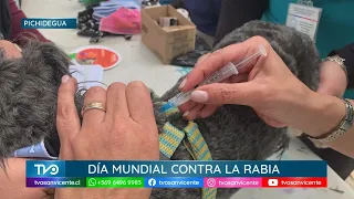 World Rabies Day: Regional Health Ministry deploys vaccination campaigns