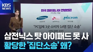 [W 언박싱] “삼전닉스 탓에 아이패드 못 사”…황당한 ‘집단소송’ 왜? / KBS  2026.07.01.