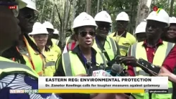 DR. ZANETOR RAWLINGS CALLS FOR TOUGHER MEASURES AGAINST GALAMSEY