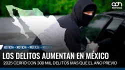 Mexico records 33.8 million crimes in 2025: crime increases by 300,000 cases