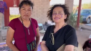 Autoridades de la comunidad Comcaac Seri confirman que no existe presencia de sarampión en la región