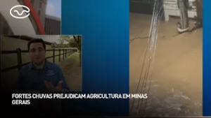 Fortes chuvas prejudicam agricultura em minas gerais