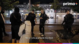 👮🏻‍♂️ VE SLUŽBĚ: JMÉNEM ZÁKONA | Nové díly sledujte už teď prima+ 🚔
