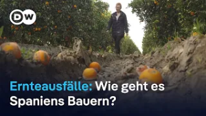 Spaniens Bauern leiden unter Extremwetter