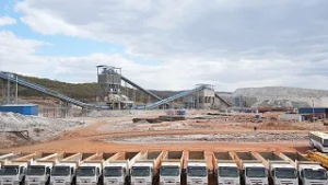 Zimbabwe fast-tracked ban over lithium export rush