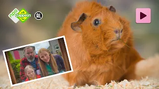 HOE OLGA DA POLGA HAAR NAAM KREEG | Olga da Polga | NPO Zappelin