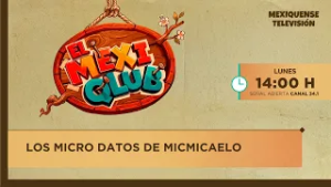 MicMicaelo: ¡Verifica y Descubre la Verdad! ?