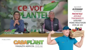 Cum facem administrare de apa prin picurare Cristina Ghibu si Horia Ghibu