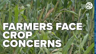 Farmers face crop concerns after flooding in Pulaski County