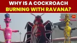 Cockroach Effigy To Burn Alongside Ravana, Kumbhakarna And Meghnad In Delhi | India Today
