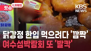 "The dakgangjeong wasn't cooked"... Another food controversy at the Yeosu World Island Expo [Issu...