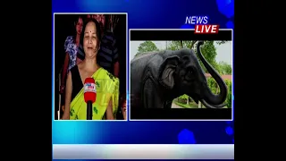 দ্বিতীয় সপ্তাহতো সগৌৰৱে ৰাজ্যৰ ছবিগৃহত চলিছে ককাদেউতা নাতি আৰু হাতী ২।