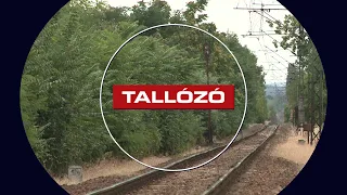 Megújul a Gyöngyös–Vámosgyörk vasútvonal – Tallózó – 2026. július 24.