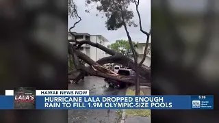 Hurricane Lala dumped enough rain to fill 1.9 million Olympic swimming pools