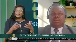 BUSINESS TODAY | GREEN FINANCING FOR SUSTAINABLE BUSINESS - nbc
