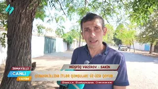 Qonşuları üz-üzə qoyan itlər... | Canlı Yayım