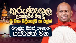 කුරුණෑගල උයන්දනින් මතු වූ  ශ්‍රී මහා මලියදේව සෑ රජුන් / 2026 /08 /09