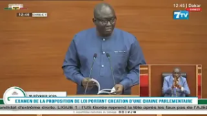 Altercation entre Ismaïla DIALLO et Guy Marius Sagna: Ayib Daffé tranche le débat 