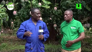 AYEKOO VISITS OTUMFUOR'S MANGO FARM, SHOWCASING MODERN AGRICULTURAL EXCELLENCE 05/08/2026